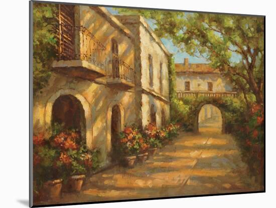 Arched Passageway-Enrique Bolo-Mounted Premium Giclee Print