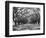 Arched Path of Trees on Plantation Site-Philip Gendreau-Framed Photographic Print