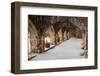 Arched Portico at Mission San Jose in San Antonio-Larry Ditto-Framed Photographic Print