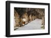 Arched Portico at Mission San Jose in San Antonio-Larry Ditto-Framed Photographic Print