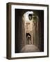 Arched Streets of Old Town Al-Jdeida, Aleppo (Haleb), Syria, Middle East-Christian Kober-Framed Photographic Print