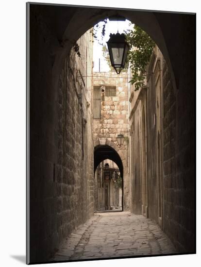 Arched Streets of Old Town Al-Jdeida, Aleppo (Haleb), Syria, Middle East-Christian Kober-Mounted Photographic Print