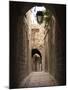 Arched Streets of Old Town Al-Jdeida, Aleppo (Haleb), Syria, Middle East-Christian Kober-Mounted Photographic Print