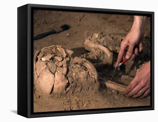 Archeological Dig-Stocktrek Images-Framed Stretched Canvas
