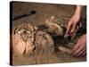 Archeological Dig-Stocktrek Images-Stretched Canvas