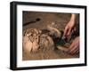 Archeological Dig-Stocktrek Images-Framed Photographic Print