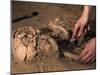 Archeological Dig-Stocktrek Images-Mounted Photographic Print