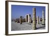 Archeological Remains of Avdat-null-Framed Photographic Print