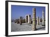 Archeological Remains of Avdat-null-Framed Photographic Print