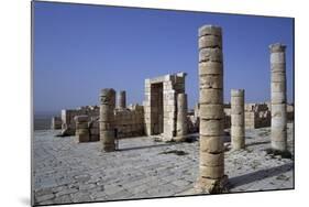 Archeological Remains of Avdat-null-Mounted Photographic Print