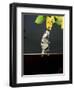 Archer Fish (Toxotes Chatareus) Leaping for Spider. Captive-Kim Taylor-Framed Premium Photographic Print