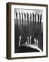Archery National Tournament Group Shot-Ralph Crane-Framed Photographic Print