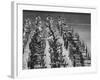 Archery National Tournament-Ralph Crane-Framed Photographic Print