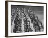 Archery National Tournament-Ralph Crane-Framed Photographic Print