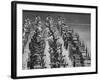 Archery National Tournament-Ralph Crane-Framed Photographic Print