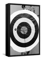 Archery Target with Arrow in the Bull's Eye-Philip Gendreau-Framed Stretched Canvas