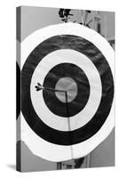 Archery Target with Arrow in the Bull's Eye-Philip Gendreau-Stretched Canvas