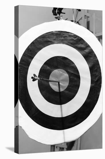 Archery Target with Arrow in the Bull's Eye-Philip Gendreau-Stretched Canvas