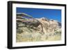 Arches 15-Gordon Semmens-Framed Photographic Print