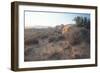 Arches 18-Gordon Semmens-Framed Photographic Print