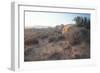 Arches 18-Gordon Semmens-Framed Photographic Print