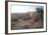 Arches 18-Gordon Semmens-Framed Photographic Print