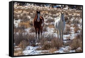 Arches-5586-Jeff Poe-Framed Stretched Canvas