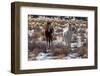 Arches-5586-Jeff Poe-Framed Photo