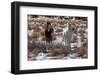 Arches-5586-Jeff Poe-Framed Photo