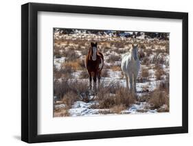 Arches-5586-Jeff Poe-Framed Photo