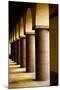 Arches and Columns 2-John Gusky-Mounted Photographic Print