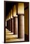 Arches and Columns 2-John Gusky-Framed Photographic Print