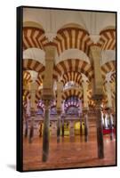 Arches and columns, The Great Mosque and Cathedral of UNESCO World Heritage Site, Spain-Richard Maschmeyer-Framed Stretched Canvas