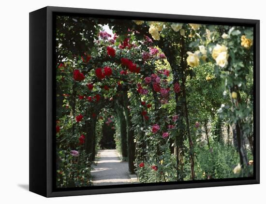 Arches Covered with Roses, Generalife Gardens, Alhambra, Granada-Nedra Westwater-Framed Stretched Canvas