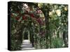 Arches Covered with Roses, Generalife Gardens, Alhambra, Granada-Nedra Westwater-Stretched Canvas