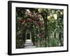 Arches Covered with Roses, Generalife Gardens, Alhambra, Granada-Nedra Westwater-Framed Photographic Print