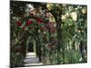 Arches Covered with Roses, Generalife Gardens, Alhambra, Granada-Nedra Westwater-Mounted Photographic Print