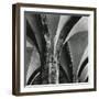 Arches, Germany, 1971-Brett Weston-Framed Photographic Print