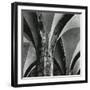 Arches, Germany, 1971-Brett Weston-Framed Photographic Print