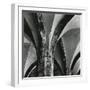 Arches, Germany, 1971-Brett Weston-Framed Photographic Print