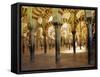 Arches in the Interior of the Great Mosque, Cordoba, Unesco World Heritage Site, Andalucia, Spain-James Emmerson-Framed Stretched Canvas