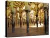 Arches in the Interior of the Great Mosque, Cordoba, Unesco World Heritage Site, Andalucia, Spain-James Emmerson-Stretched Canvas