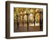 Arches in the Interior of the Great Mosque, Cordoba, Unesco World Heritage Site, Andalucia, Spain-James Emmerson-Framed Photographic Print