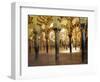 Arches in the Interior of the Great Mosque, Cordoba, Unesco World Heritage Site, Andalucia, Spain-James Emmerson-Framed Photographic Print