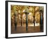 Arches in the Interior of the Great Mosque, Cordoba, Unesco World Heritage Site, Andalucia, Spain-James Emmerson-Framed Photographic Print