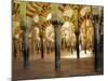 Arches in the Interior of the Great Mosque, Cordoba, Unesco World Heritage Site, Andalucia, Spain-James Emmerson-Mounted Photographic Print