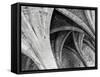 Arches Mono-Doug Chinnery-Framed Stretched Canvas