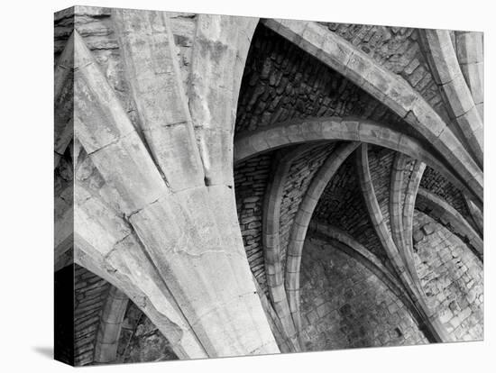 Arches Mono-Doug Chinnery-Stretched Canvas