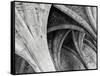 Arches Mono-Doug Chinnery-Framed Stretched Canvas