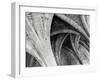 Arches Mono-Doug Chinnery-Framed Photographic Print